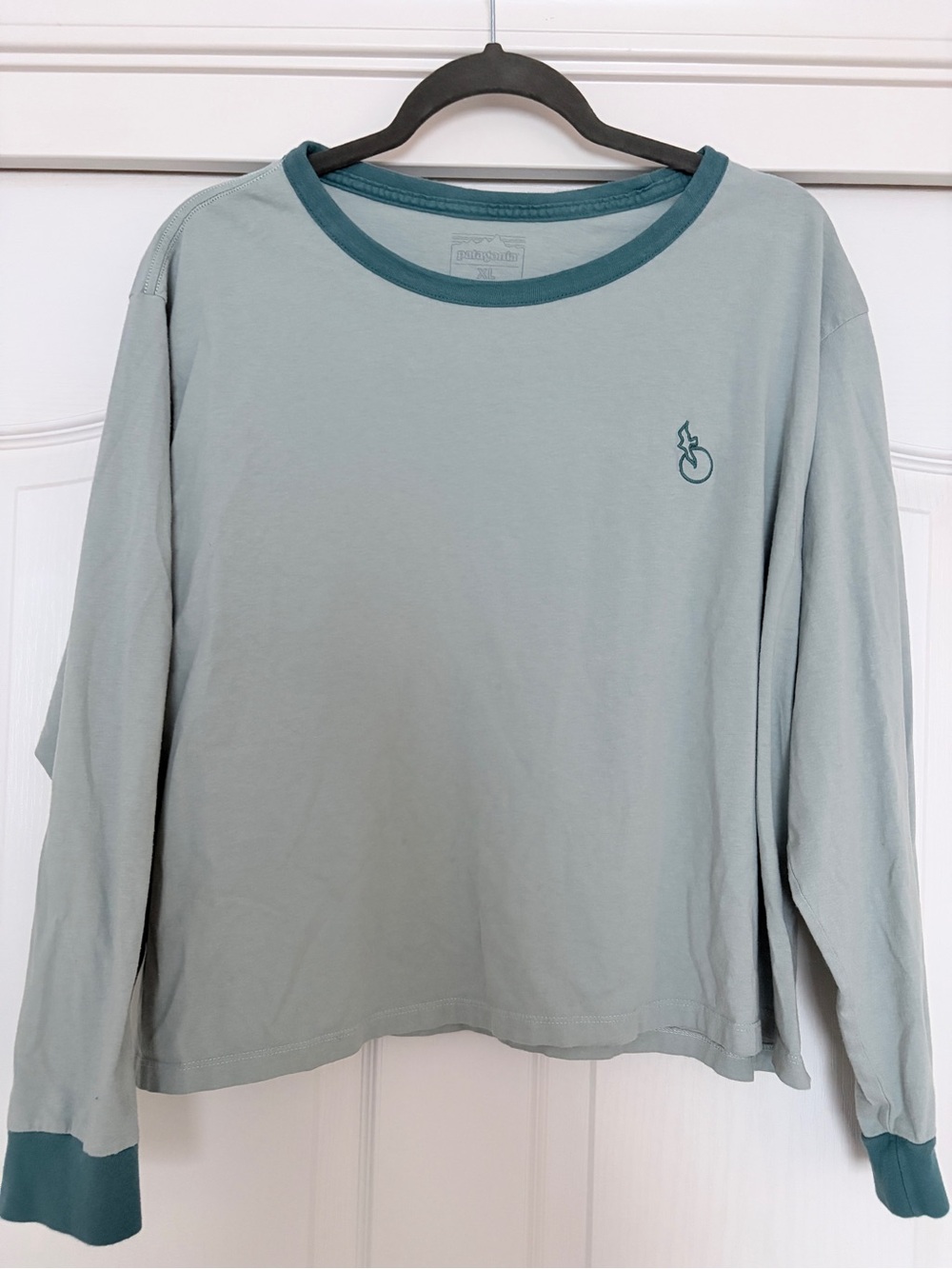 Patagonia Sage Green Long-Sleeve Tee with Teal Trim